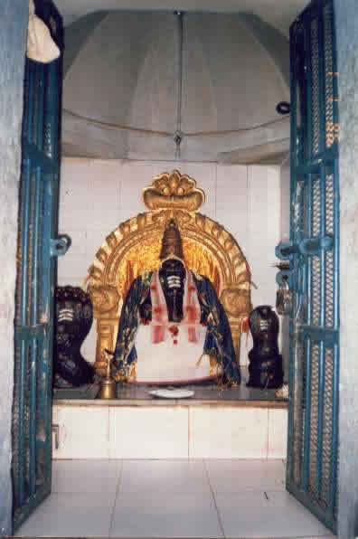 agastia vinayakha